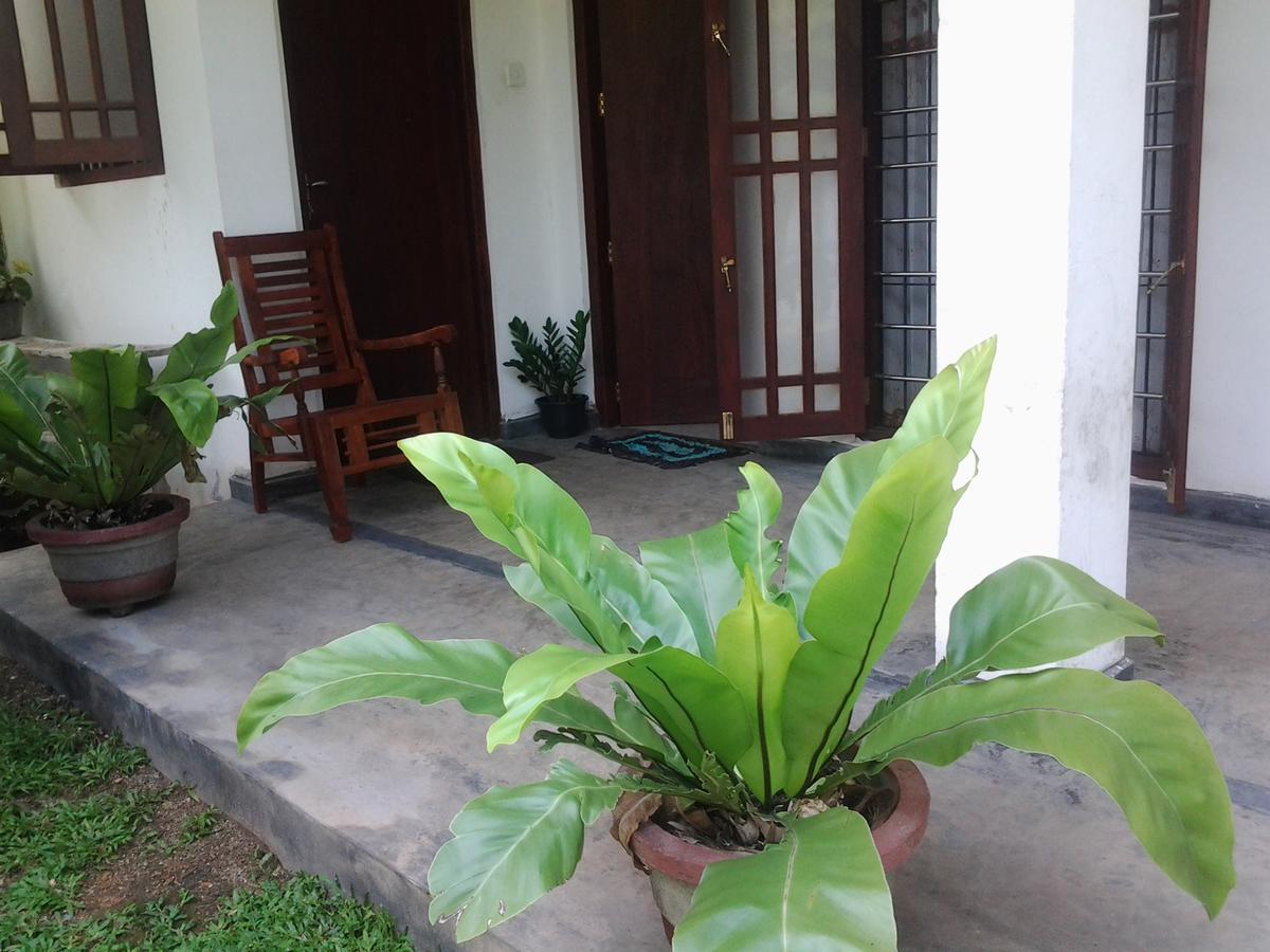 Orchid Villa #10 ヒッカドゥワ エクステリア 写真