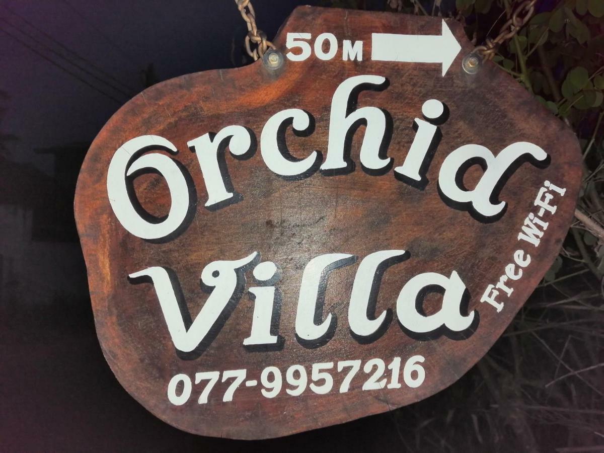 Orchid Villa #10 ヒッカドゥワ エクステリア 写真